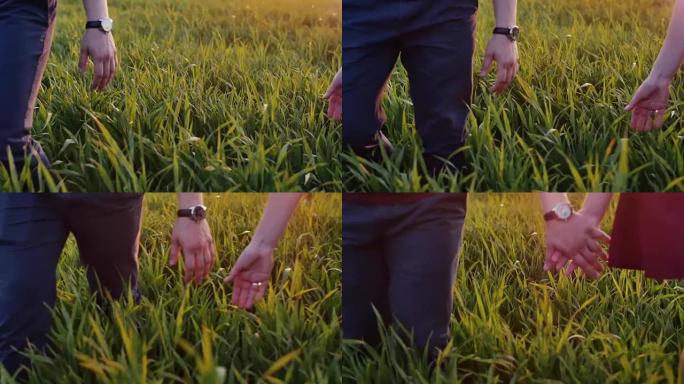 恋人互相牵着手的特写镜头。男人和女人走在长长的草丛中，牵着手。慢镜头，稳定镜头