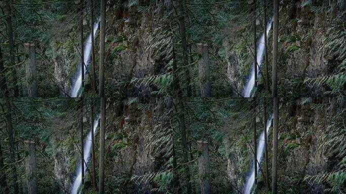 风景秀丽的森林中的瀑布向下的岩石面