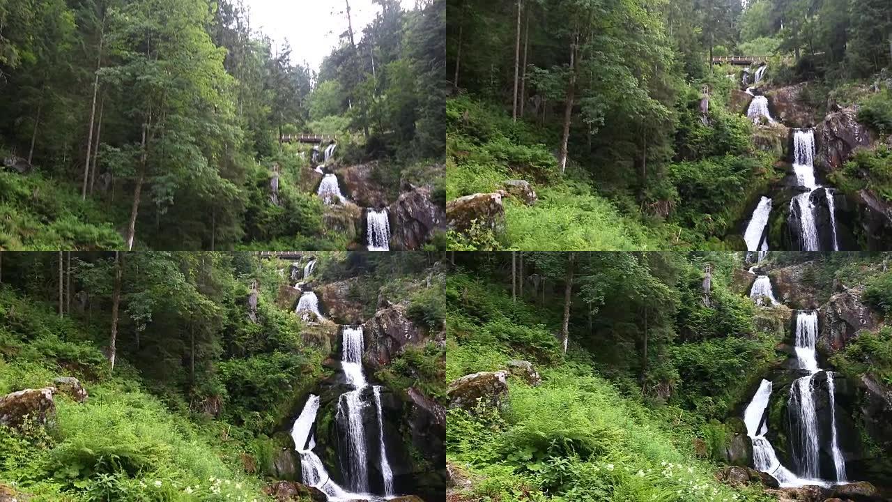 电影倾斜: 德国森林特里贝格瀑布中的热带瀑布