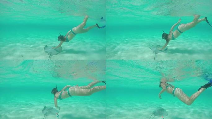 慢动作: 年轻女子浮潜水下抚摸友好黄貂鱼射线