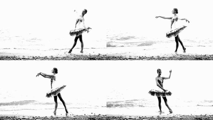 海岸上的芭蕾舞海岸上的芭蕾舞