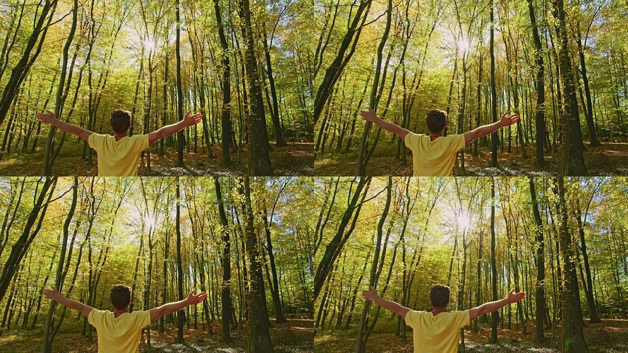 伸出双臂的旺盛男子在阳光明媚的树林中仰望秋天的树木