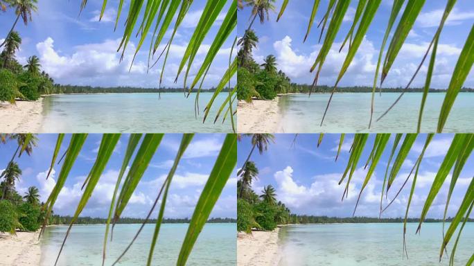 特写: 描绘完美的空旷的白色沙滩，异国情调的岛屿上郁郁葱葱的棕榈树和海岸前美丽的水晶般清澈的蓝色泻湖