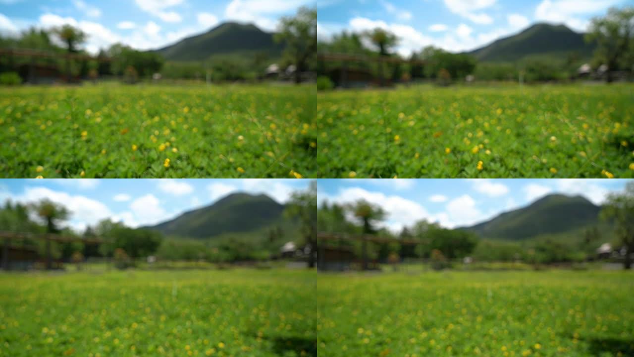 两张散焦的黄花田和山景观镜头