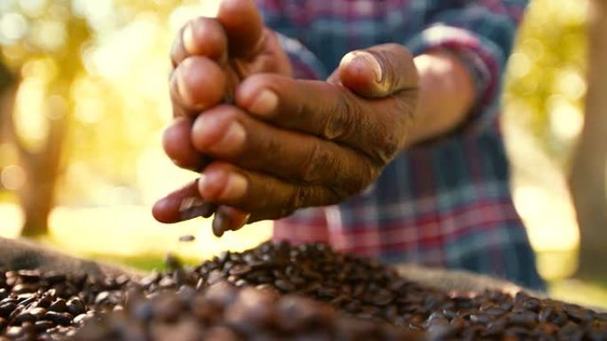 公平贸易农业最适合咖啡豆生产