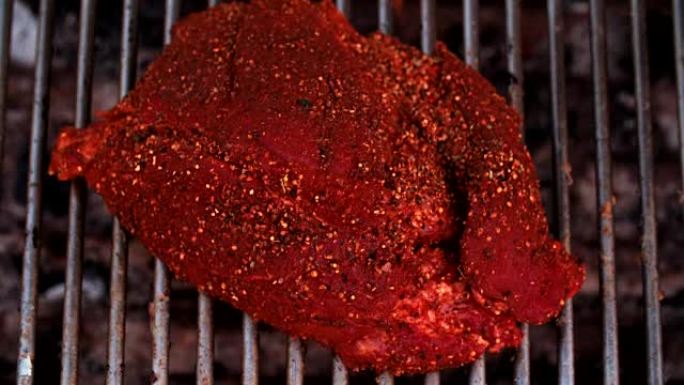 辛辣调味猪肉在烧烤炉上烤发光的煤