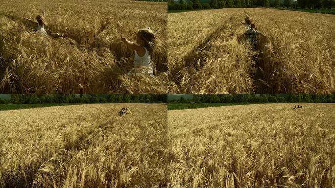 高清慢动作: 孩子们在小麦中奔跑