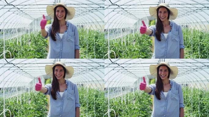 肖像美丽的女孩戴着草帽，戴着橡胶粉色手套，微笑着，在温室里。概念: 生物产品，天然产品，新鲜，美味，