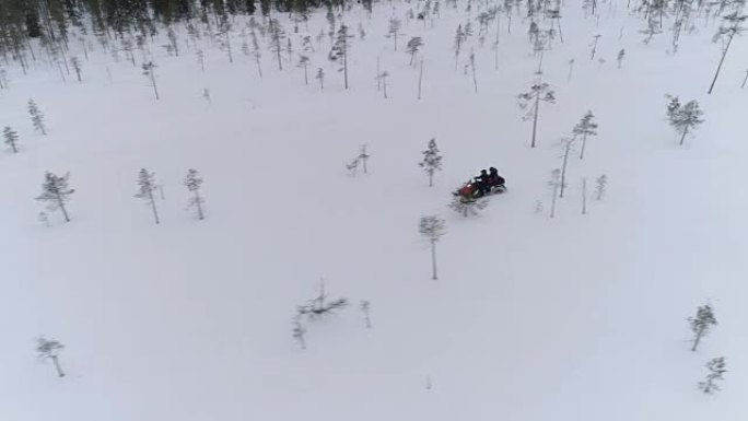 特写: 游客在森林茂密的山上积雪的树木之间驾驶雪地摩托