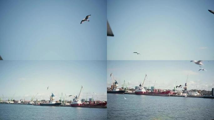 一小群白色海鸥聚集在繁忙的海港上方的空中。Steadicam射击