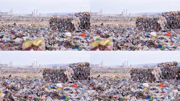 自然污染。垃圾和成堆的垃圾。