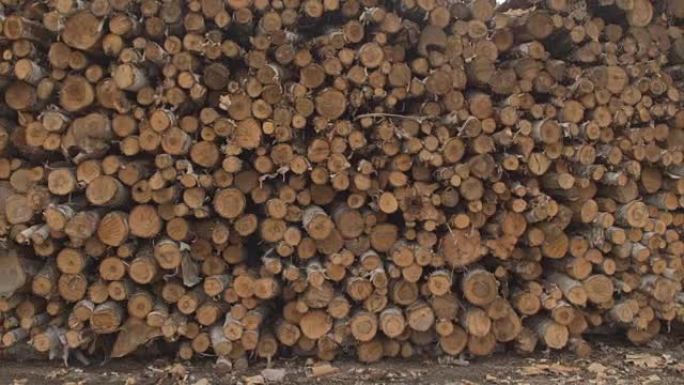 空中: 美国森林边缘无休止的堆积木柴原木
