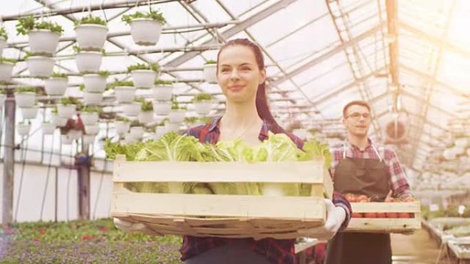 两个快乐的工业大棚工人提着装满蔬菜的箱子。人们对他们正在种植的有机食品微笑和快乐。