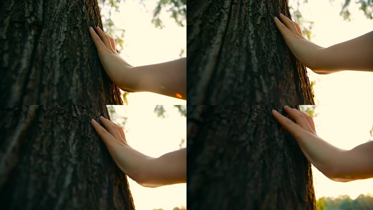 手触摸树的特写