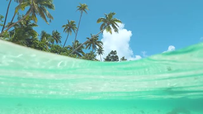 慢动作: 令人难以置信的美丽热带海滩被翡翠海浪席卷