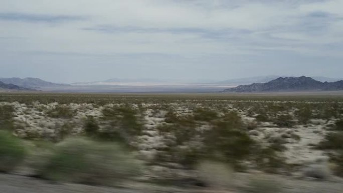 多莉拍摄的美国西部风景