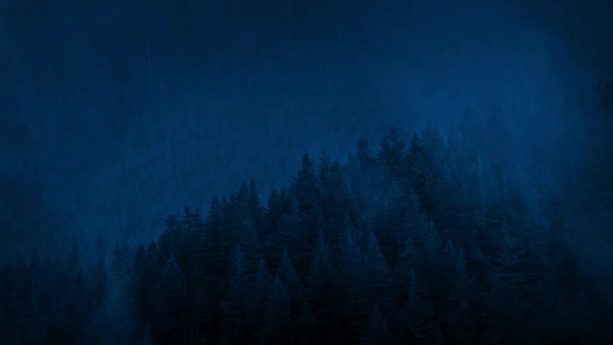 夜间雾蒙蒙的森林山坡上的降雨