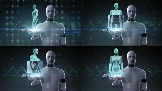 机器人打开手掌，扫描女性体内的肾脏。X射线视图