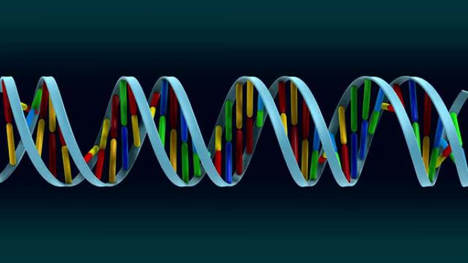 αHD的DNA环脱氧核糖核酸分子序列基因