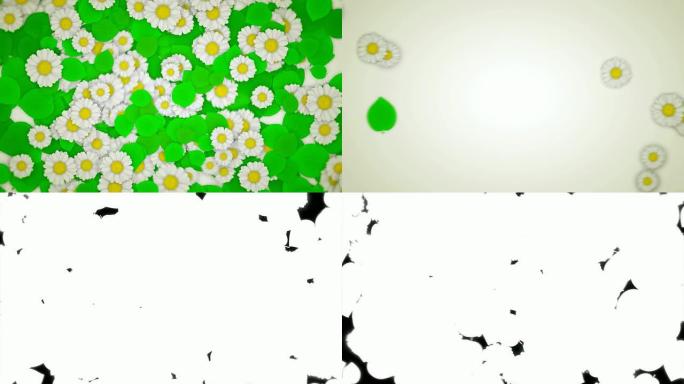 白色上的绿叶和雏菊（垂直拉出）