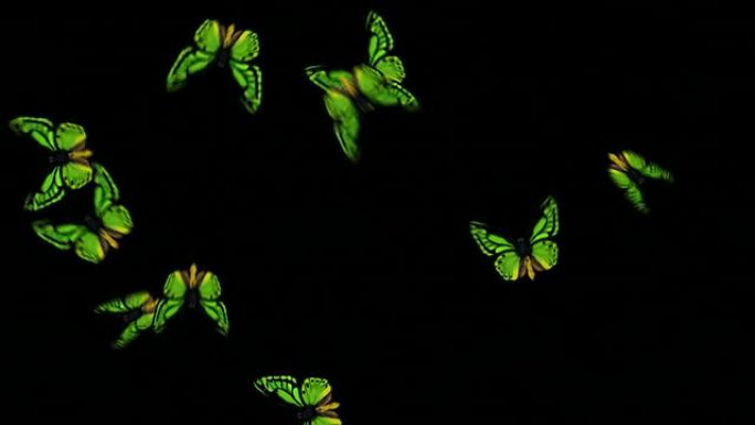 动画蝴蝶环-绿色（带Alpha变体）
