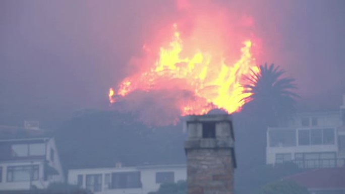 开普敦-3月，2015: 南非桌山山坡上的猛烈丛林大火