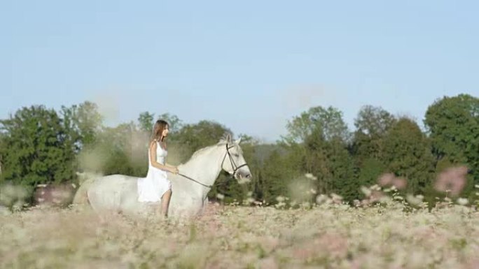 慢动作: 穿着白色连衣裙的女孩在盛开的田野里骑着白马