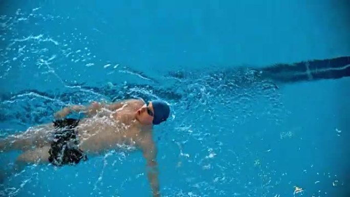 仰泳游泳技术