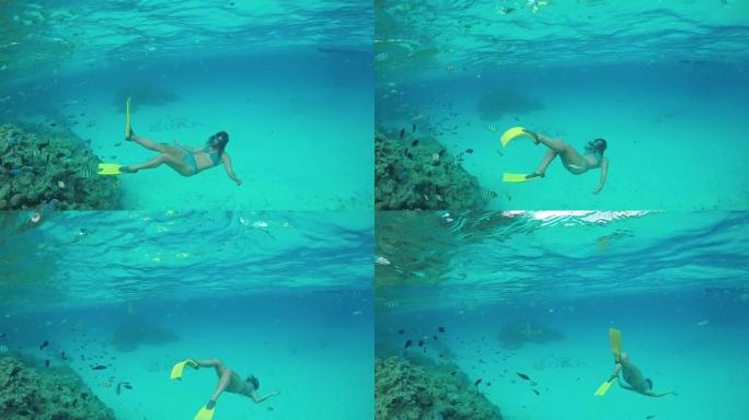 水下慢动作: 女人与热带鱼一起浮潜异国珊瑚礁