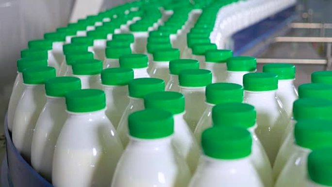 许多装有奶制品的塑料瓶在工厂输送机上移动。