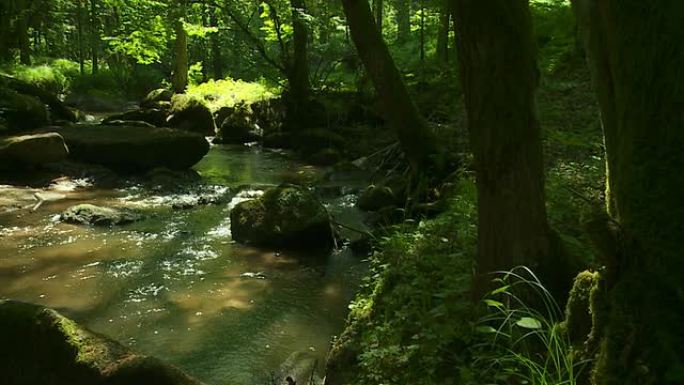 PAN Rocky Stream I春季森林