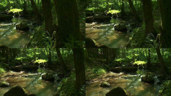 PAN Rocky Stream I春季森林