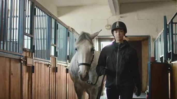 年轻的骑师女孩正在马stable中与白马同行。