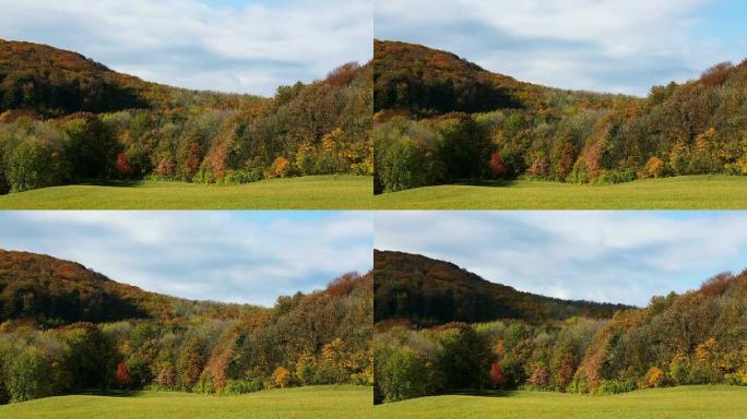 秋季的维也纳森林-时间流逝