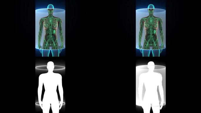 女性人体扫描淋巴系统在数字显示仪表板。