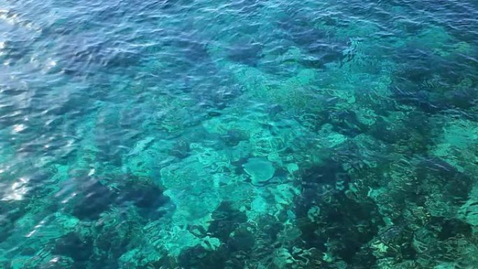透明海水自然背景，高清视频