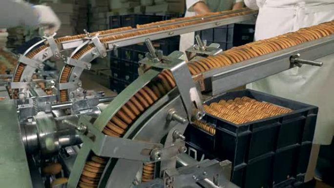 工厂生产双饼干的过程。