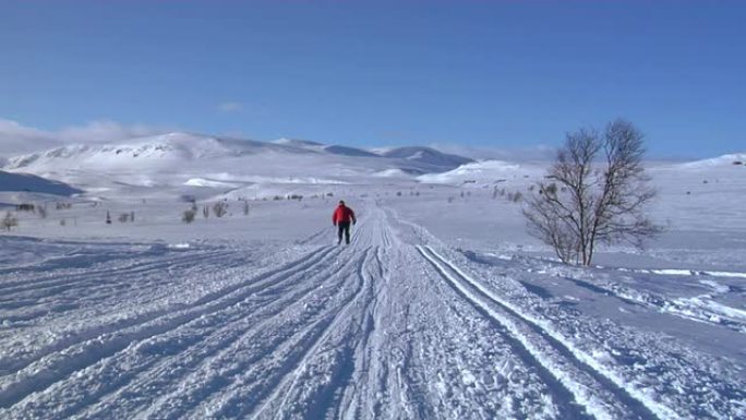 越野滑雪01户外锻炼雪地原野户外运动