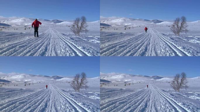 越野滑雪01户外锻炼雪地原野户外运动