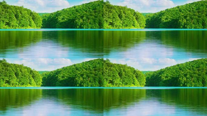 夏季阳光明媚的景观