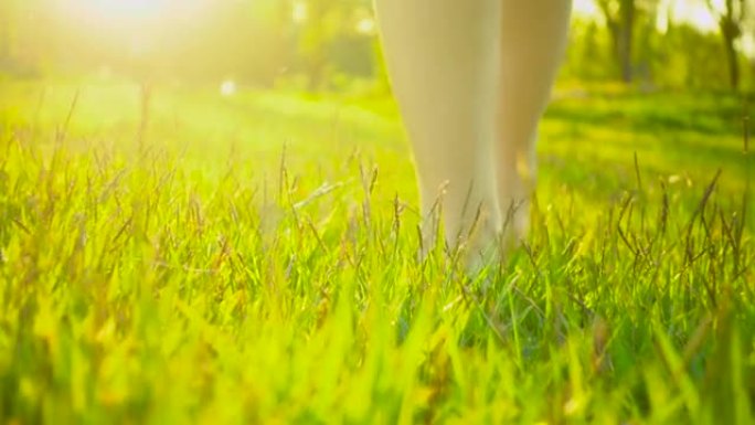夏天的时候，女人的脚在草地上行走