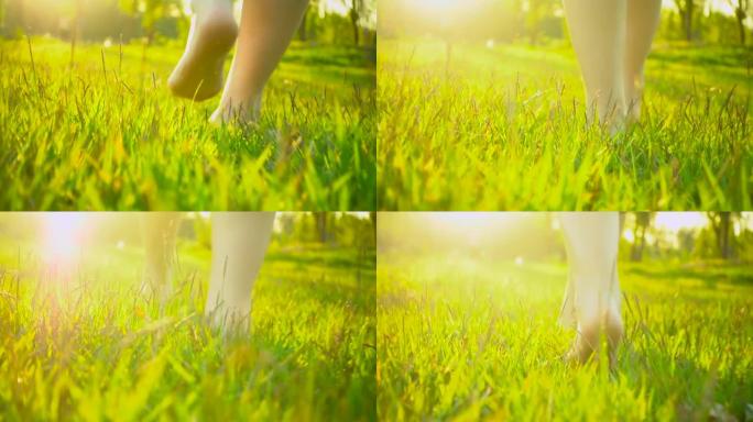 夏天的时候，女人的脚在草地上行走