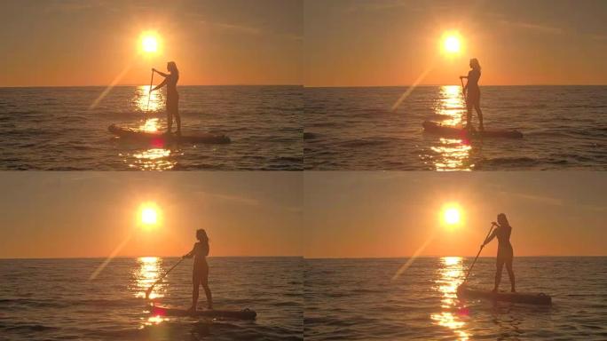 特写: 健康的年轻女骑手在金色日落时站起来划桨冲浪