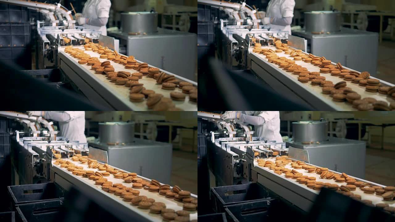 在工厂设施中，两排不均匀的饼干沿着传送带移动。