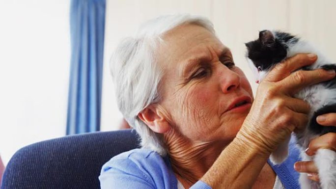 老年妇女坐在4k退休之家的扶手椅上抱着小猫