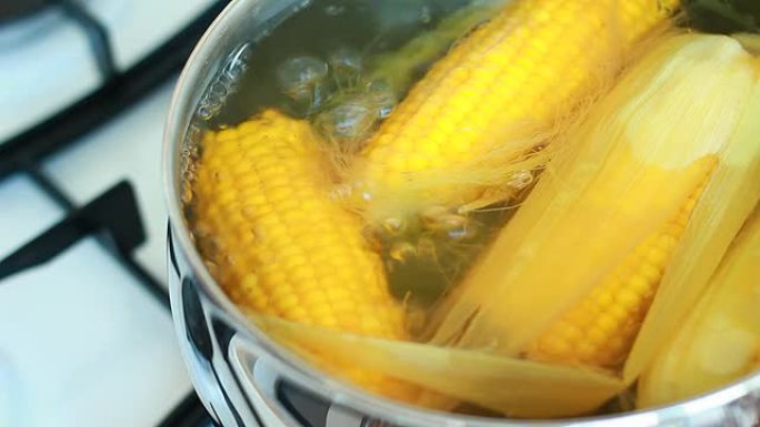 新鲜多汁的玉米棒在锅里煮