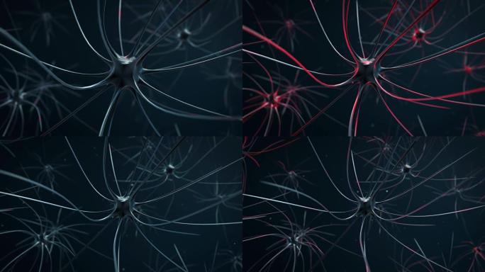 神经冲动在人体内的传播。3d动画