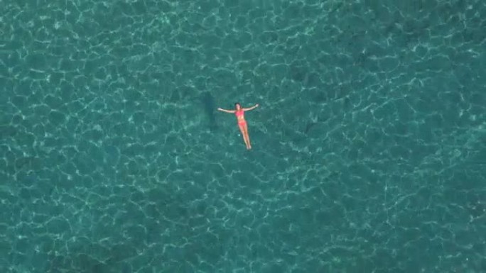 空中: 迷人的年轻女子游泳海星漂浮在清澈的海洋中