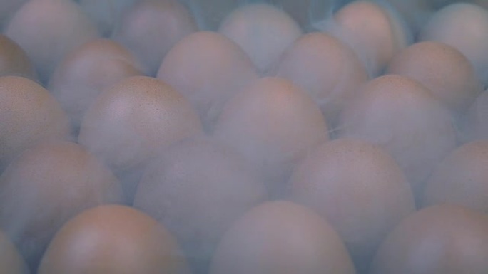 冷库中的鸡蛋，冰冷的蒸气在移动