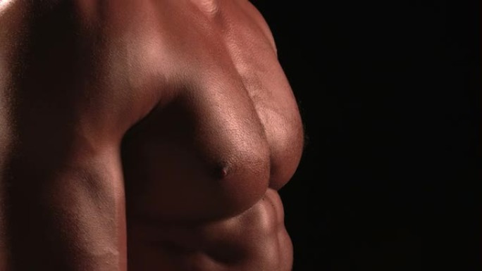 裸胸男性健美运动员转向躯干